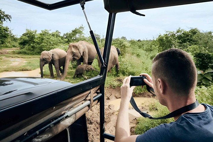 Private Tour from Ella to Hiriketiya with Udawalawe Safari - Photo 1 of 11